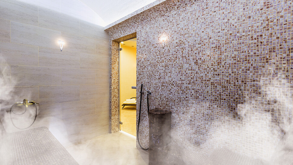 Steam bath steam generators steam bath steam generators