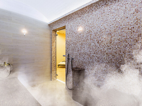steam bath steam generators