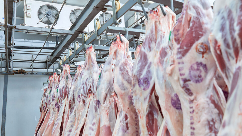 Spray humidifiers for abattoir humidification