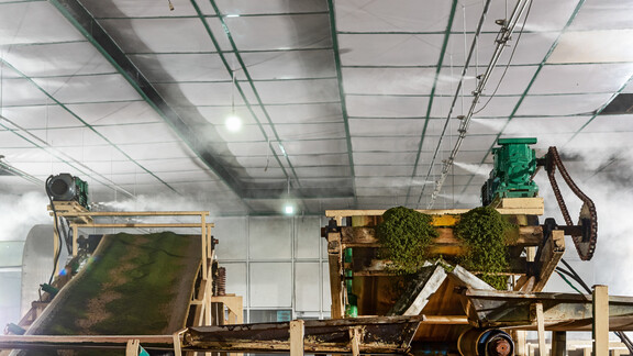 JetSpray humidifier at Parmeshwari Tea factory